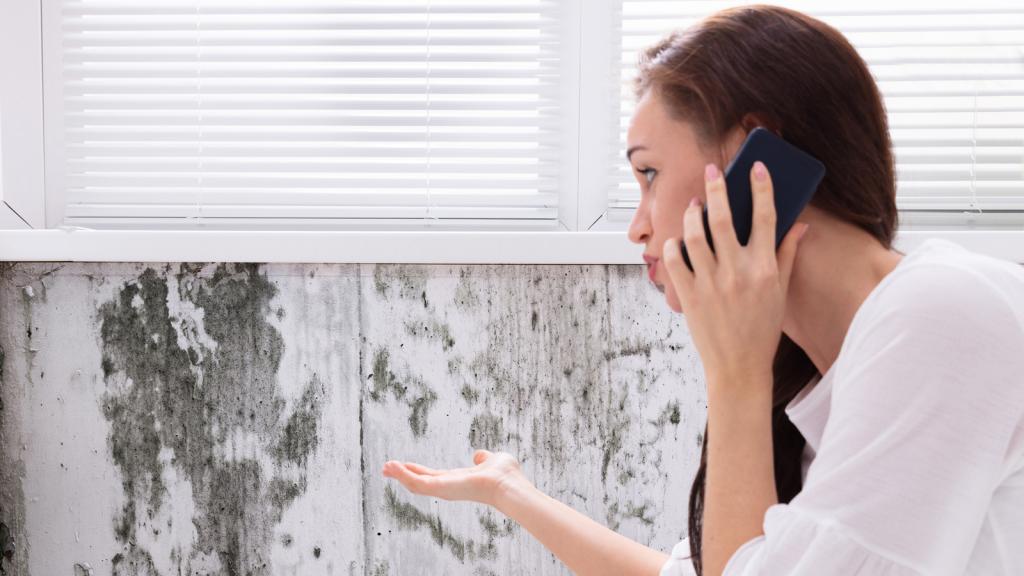 Schimmelpilzgutachter: Frau mit Telefonhörer in der Hand vor einer Wand mit Schimmelpilzbefall.